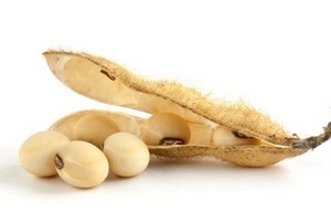 卵磷脂晚上吃可以嗎？最好是晚飯前