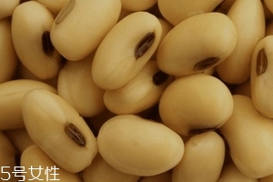 卵磷脂通乳嗎？這個還不一定