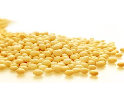 卵磷脂可以單獨(dú)吃嗎？