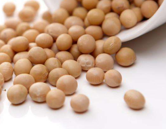 卵磷脂能和鈣一起吃嗎？分開服用為佳