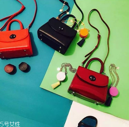 joseph stacey是什么牌子？美貌和實用兼具