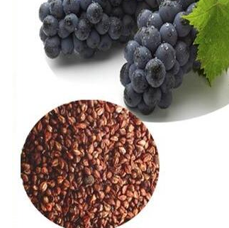 葡萄籽可以祛斑嗎？葡萄籽祛斑很靠譜