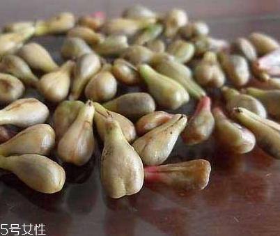 葡萄籽是寒性的嗎？屬于寒性