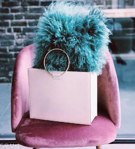 tara zadeh是什么牌子？背出與眾不同的風采