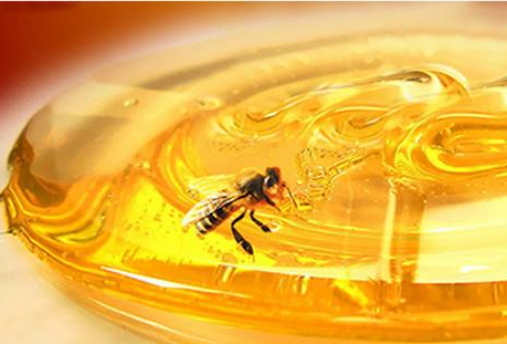 槐花蜜什么顏色 正宗是水白色或者白色 槐花蜜什么顏色 正宗是水白色或者白色