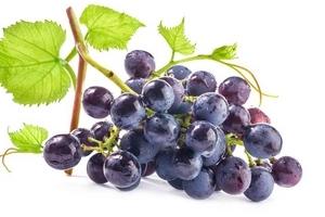 葡萄籽是維生素e嗎？并不是維生素e