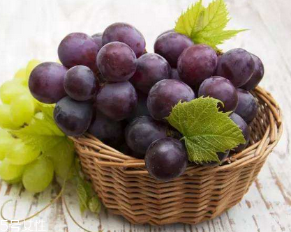 葡萄籽是維生素e嗎？并不是維生素e