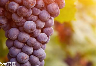 葡萄籽是什么味道？有點(diǎn)澀澀的