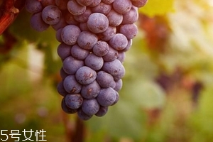 葡萄籽會影響月經(jīng)嗎？吃法正確就不會