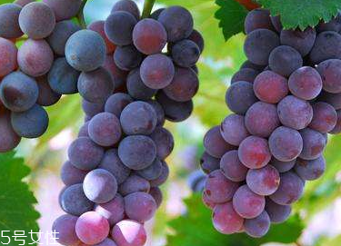 葡萄籽會推遲月經(jīng)嗎？一般不會