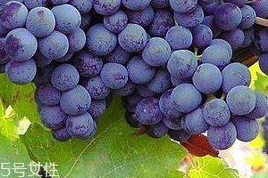 葡萄籽會(huì)長(zhǎng)痘嗎？沒(méi)有這個(gè)情況