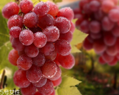 葡萄籽會(huì)長(zhǎng)痘嗎？沒(méi)有這個(gè)情況