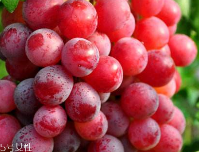 葡萄籽會發(fā)胖嗎？不會發(fā)胖