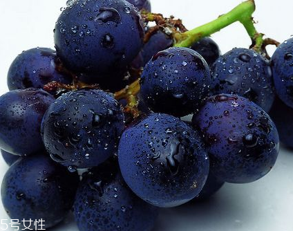 葡萄籽會發(fā)胖嗎？不會發(fā)胖