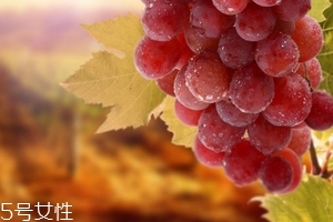 葡萄籽會(huì)便秘嗎？葡萄籽能緩解便秘