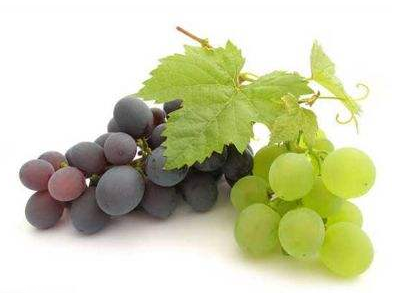 葡萄籽好還是膠原蛋白好？各有千秋