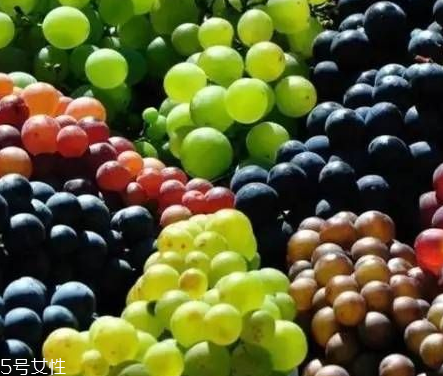 葡萄籽好還是膠原蛋白好？各有千秋