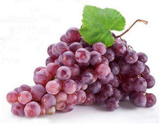 葡萄籽祛斑多久有效果？效果因人而異