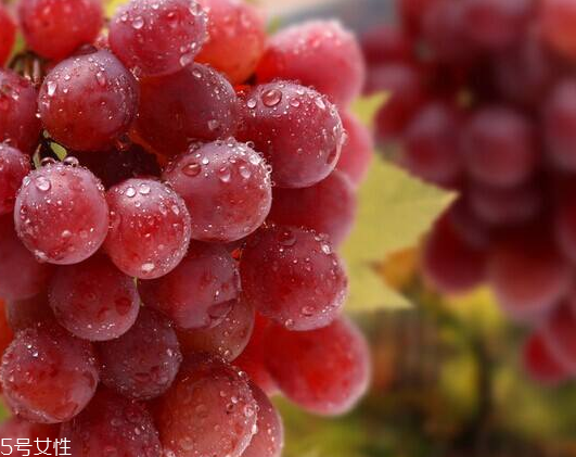 葡萄籽能和感冒藥一起吃嗎？