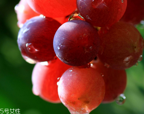 葡萄籽可以空腹吃嗎？要分情況