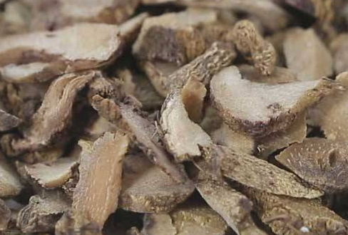 白芨可以泡水喝嗎 白芨泡水技巧 白芨可以泡水喝嗎 白芨泡水技巧