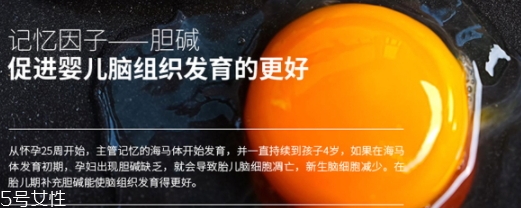 黃金素和dha可以一起吃嗎？