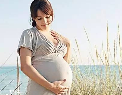 黃金素和愛樂維可以一起吃嗎？