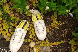 novesta可以在哪里買(mǎi)？來(lái)自中歐的手工品牌