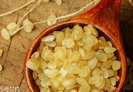 皂角米能美容嗎？含膠原蛋白有美容效果