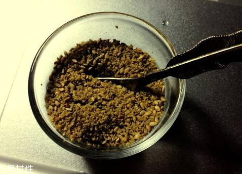 芝麻粉什么時候吃最好 最佳食用時間 芝麻粉什么時候吃最好 最佳食用時間