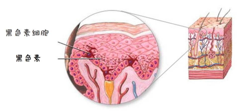 郁美凈鮮奶霜會變黑嗎？小編帶你來辟謠