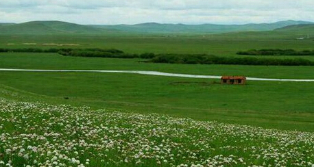 郁美凈和青蛙王子哪個好？