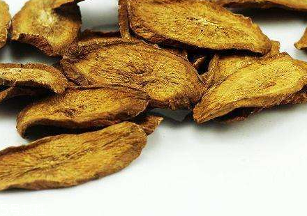 牛蒡茶是什么做的？牛蒡茶是樹根嗎？