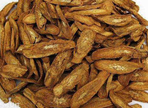 牛蒡茶是什么味道？牛蒡茶味道好嗎