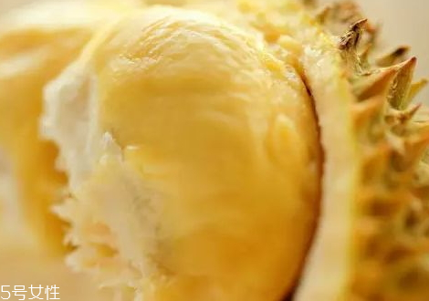 蘇丹王和貓山王區(qū)別 蘇丹王D24和D197區(qū)別 蘇丹王和貓山王區(qū)別 蘇丹王D24和D197區(qū)別