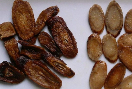 牛蒡茶和枸杞一起泡水喝嗎？