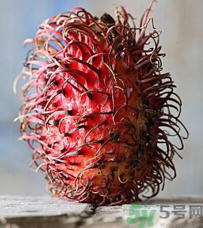 紅毛丹的核能吃嗎？紅毛丹的核可以吃嗎？