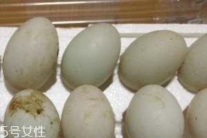 鴨蛋是酸性還是堿性？鴨蛋的性質(zhì)