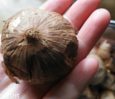 黑蒜的價格多少錢一斤？黑蒜很貴嗎？