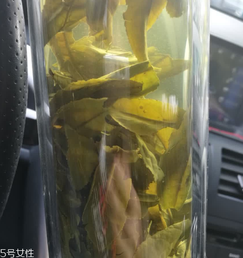 六安瓜片多少錢一斤？六安瓜片的價(jià)格