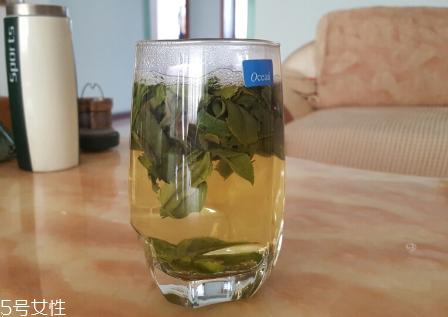 六安瓜片是什么茶？六安瓜片好喝嗎？