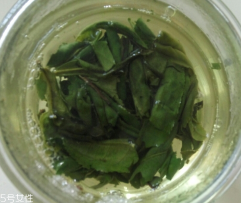 六安瓜片是紅茶還是綠茶？