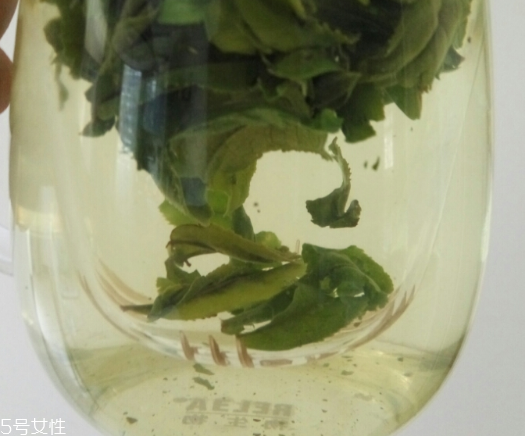 六安瓜片是紅茶還是綠茶？