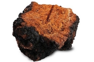 樺樹茸怎么吃？樺樹茸正確吃法