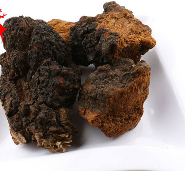 樺樹茸怎么吃？樺樹茸正確吃法