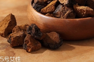 樺樹(shù)茸是樹(shù)黃嗎？樺樹(shù)茸屬于什么