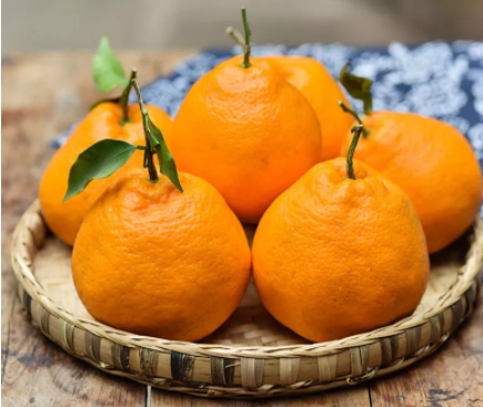 耙耙柑和不知火哪個(gè)好？耙耙柑和不知火區(qū)別