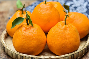 耙耙柑可以和牛奶一起吃嗎？耙耙柑和牛奶一起吃的壞處