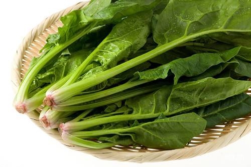 月經(jīng)期間吃菠菜會(huì)疼嗎 來(lái)大姨媽吃菠菜好不好