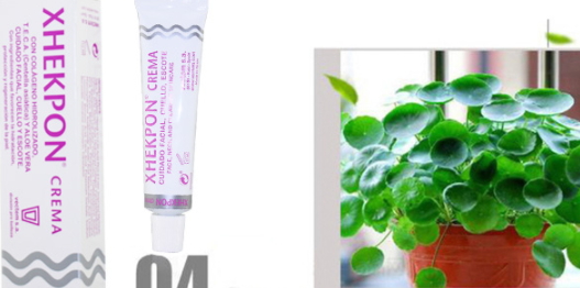 xhekpon頸紋霜多少錢？西班牙頸紋霜購買渠道